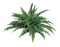 Boston Fern Plant with 50 Realistic Silk Fronds - 34-Inch Faux Greenery for Home, Office, Patio & Garden Decor | Maintenance-Free by Floral Home